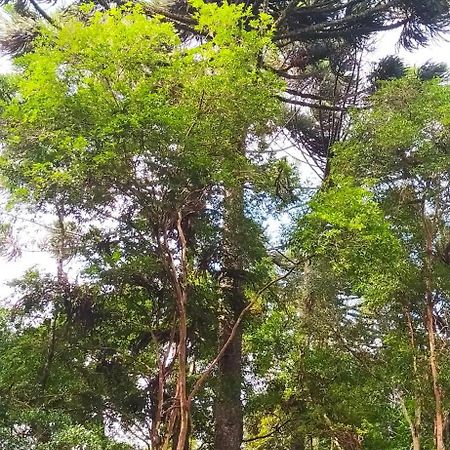 Chacara Rancho Paraiso Piraquara Bagian luar foto