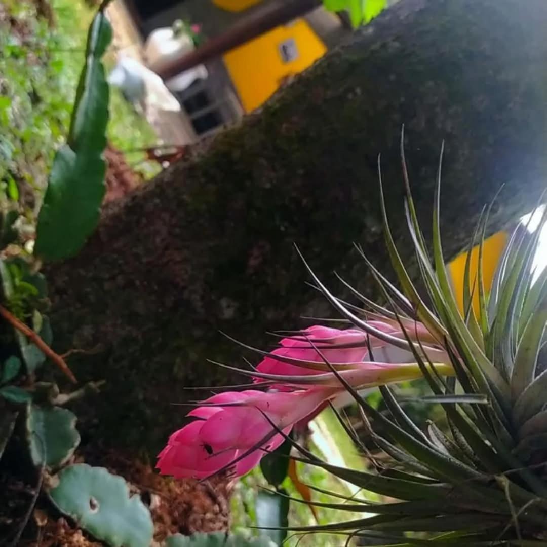 Chacara Rancho Paraiso Piraquara Bagian luar foto
