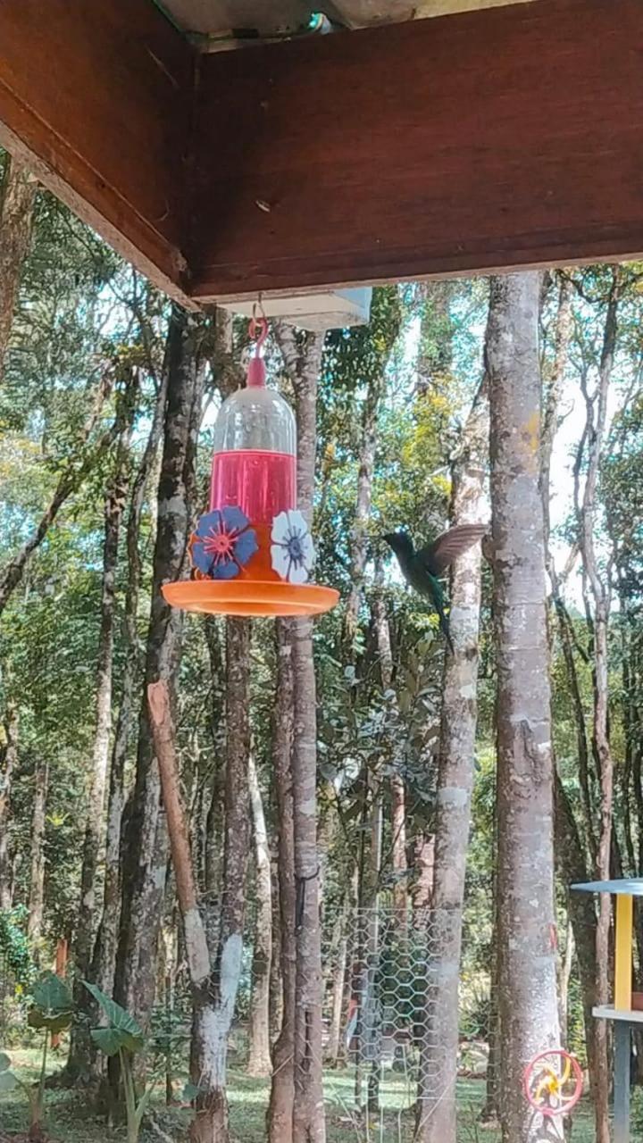 Chacara Rancho Paraiso Piraquara Bagian luar foto
