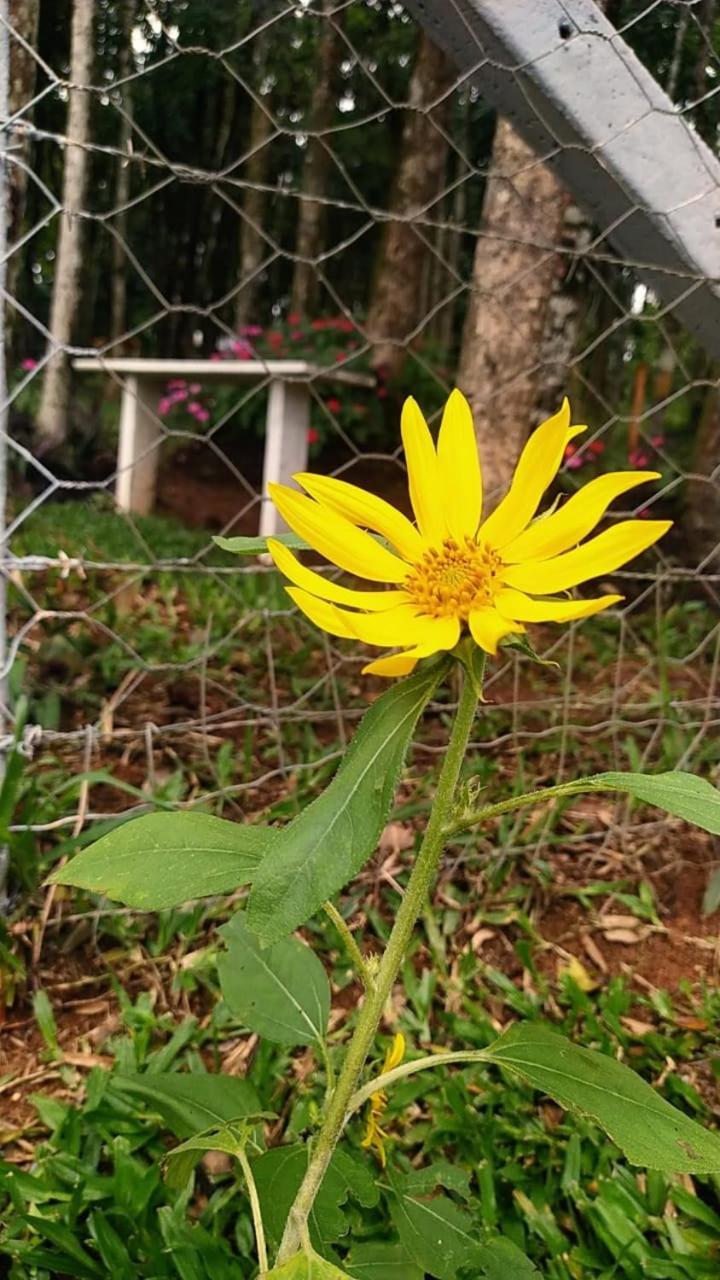 Chacara Rancho Paraiso Piraquara Bagian luar foto