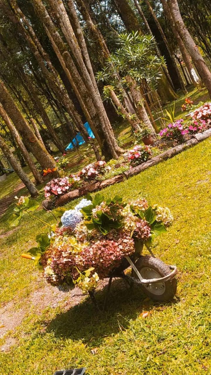 Chacara Rancho Paraiso Piraquara Bagian luar foto